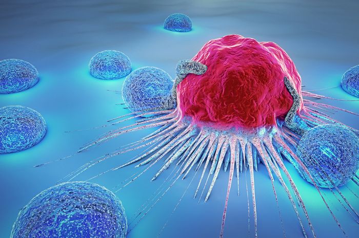 Sampel Sel Kanker Tunggal Dapat Meningkatkan Pengobatan Khusus