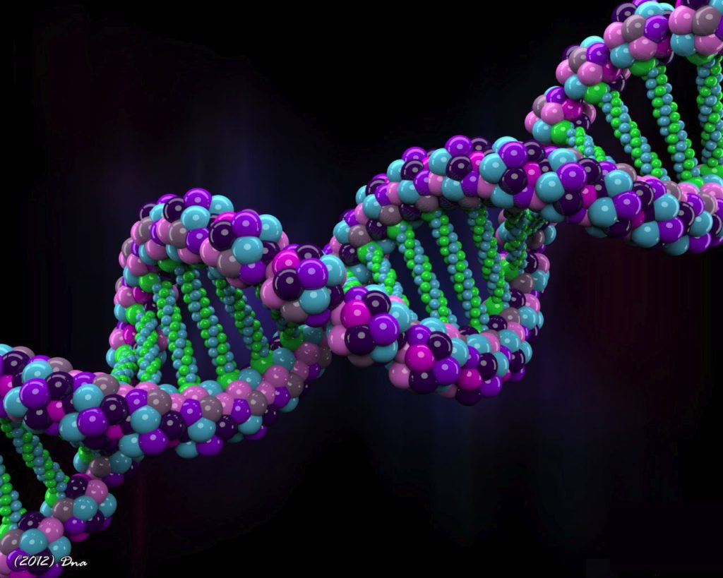 Visi untuk Dekade Penelitian Genomik Manusia Berikutnya