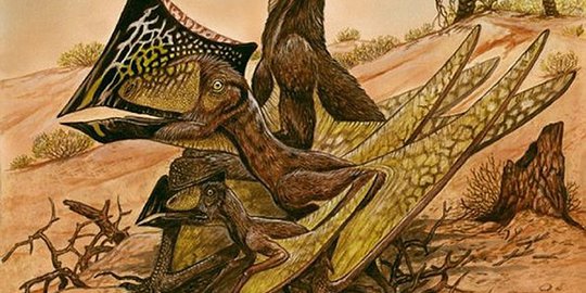 Penemuan Baru Dinosaurus Bersayap Seukuran Burung Kolibri